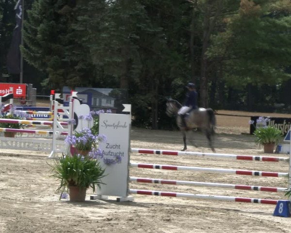 Reitturnier Waltrop 2019