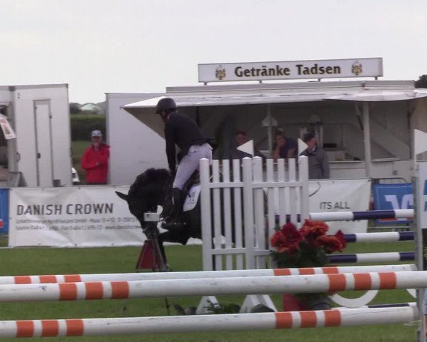 Reitturnier Behrendorf 2019