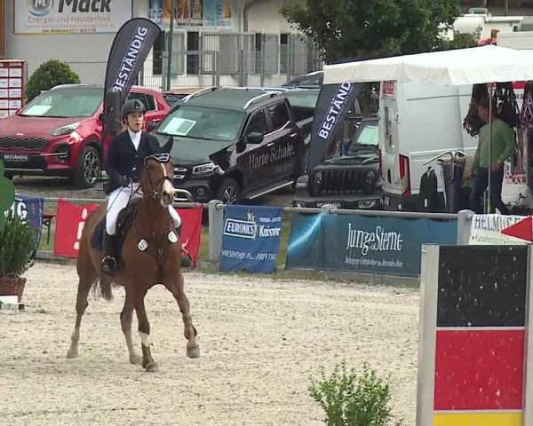 Reitturnier Grafenrheinfeld 2019
