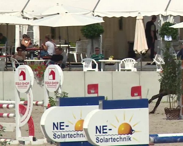 Reitturnier Grafenrheinfeld 2019