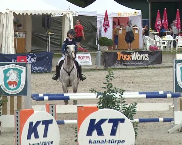 Reitturnier Grafenrheinfeld 2019