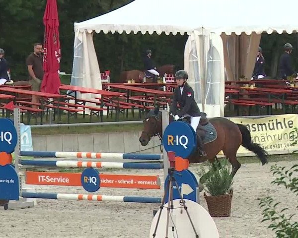 Reitturnier Grafenrheinfeld 2019