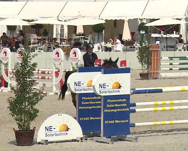 Reitturnier Grafenrheinfeld 2019