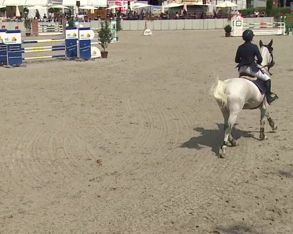 Reitturnier Grafenrheinfeld 2019