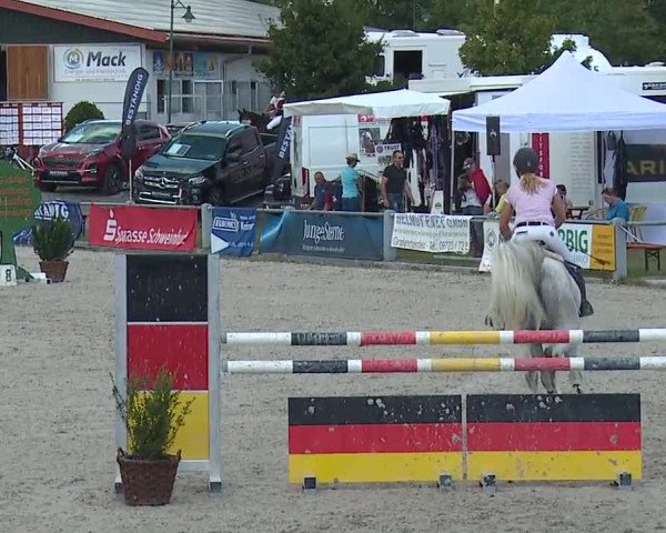 Reitturnier Grafenrheinfeld 2019
