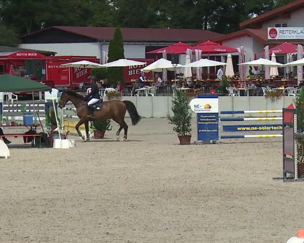 Reitturnier Grafenrheinfeld 2019
