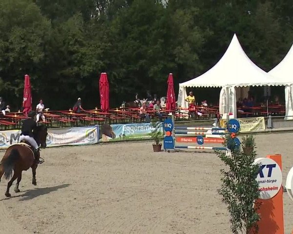 Reitturnier Grafenrheinfeld 2019