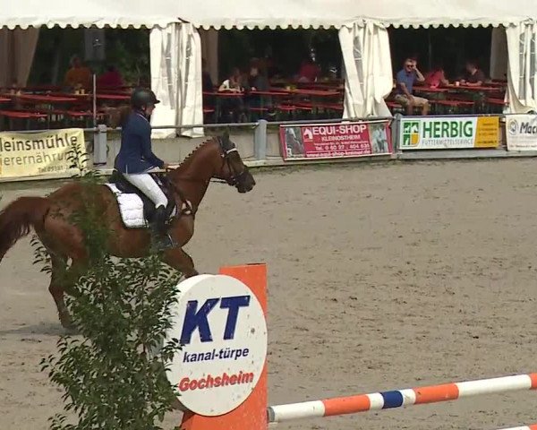 Reitturnier Grafenrheinfeld 2019
