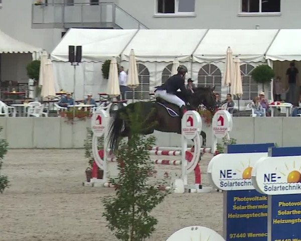 Reitturnier Grafenrheinfeld 2019