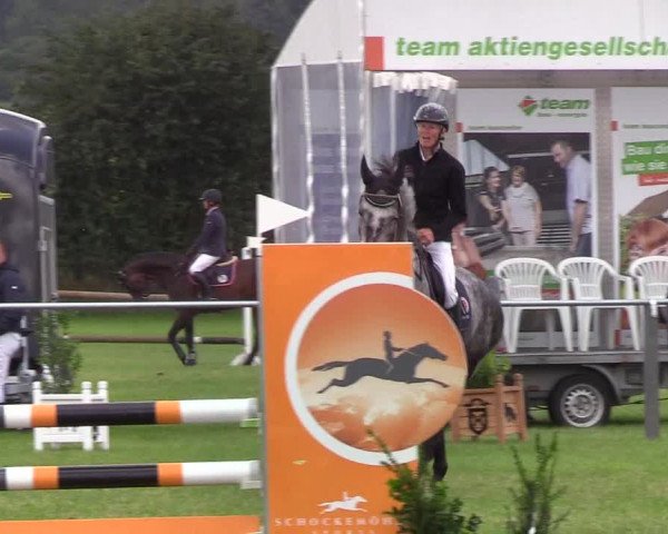 Reitturnier Behrendorf 2019