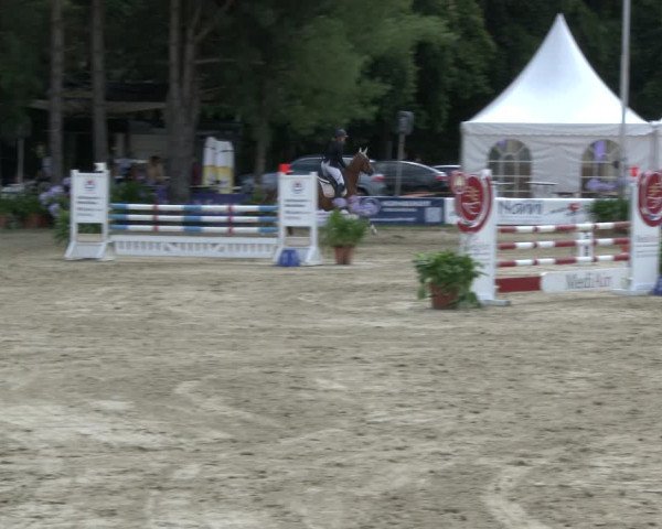 Reitturnier Waltrop 2019