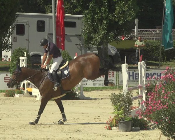 Reitturnier Oberderdingen 2019