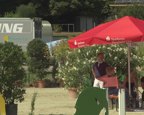 Reitturnier Oberderdingen 2019