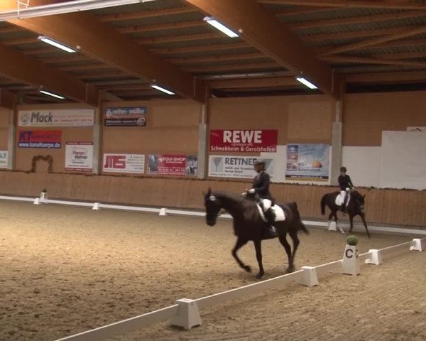 Reitturnier Grafenrheinfeld 2019
