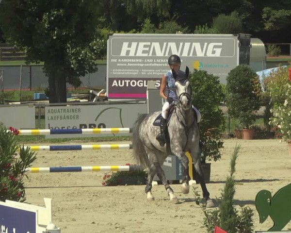 Reitturnier Oberderdingen 2019