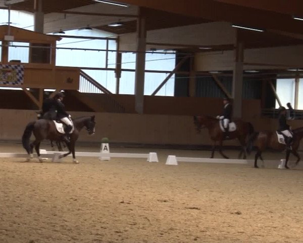 Reitturnier Grafenrheinfeld 2019