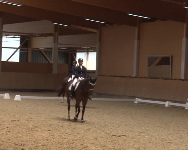 Reitturnier Grafenrheinfeld 2019