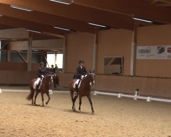 Reitturnier Grafenrheinfeld 2019