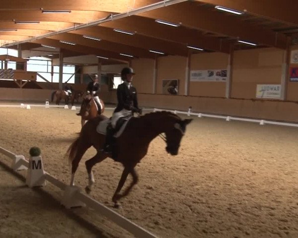 Reitturnier Grafenrheinfeld 2019