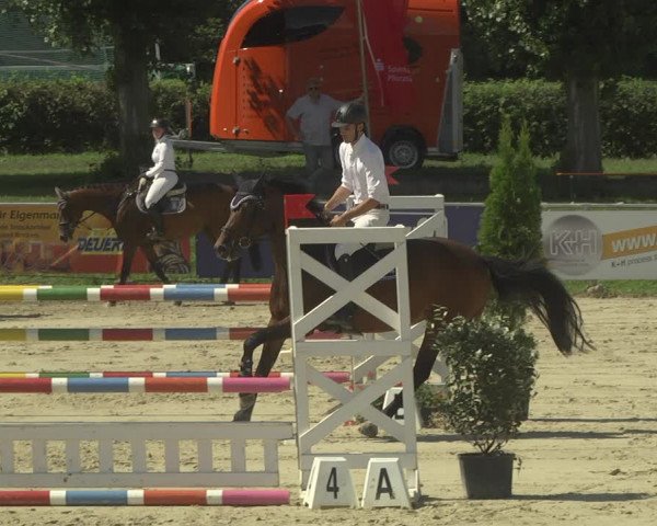 Reitturnier Oberderdingen 2019