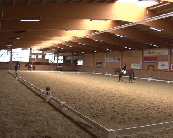 Reitturnier Grafenrheinfeld 2019