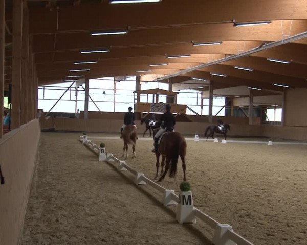 Reitturnier Grafenrheinfeld 2019