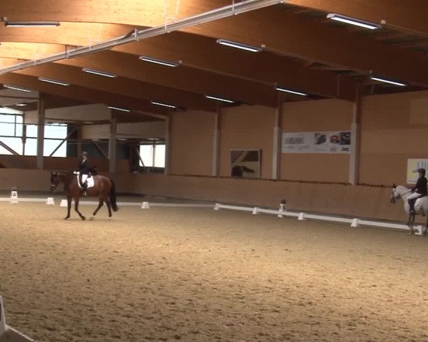 Reitturnier Grafenrheinfeld 2019