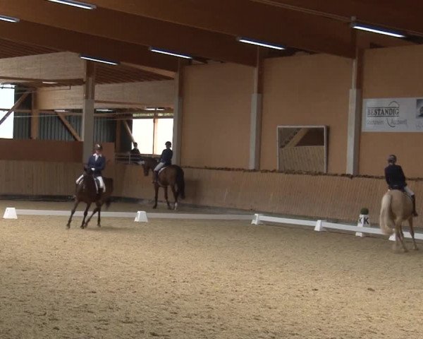 Reitturnier Grafenrheinfeld 2019