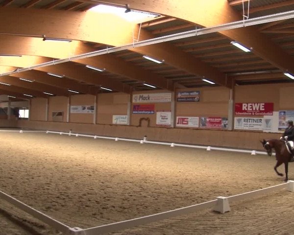 Reitturnier Grafenrheinfeld 2019