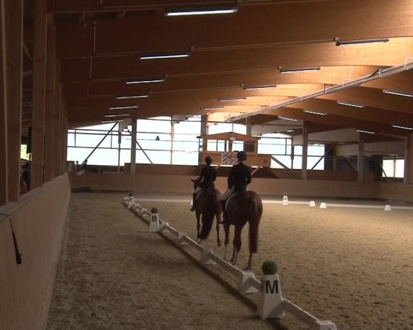 Reitturnier Grafenrheinfeld 2019