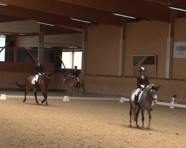 Reitturnier Grafenrheinfeld 2019