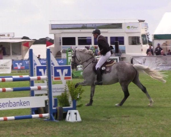 Reitturnier Behrendorf 2019