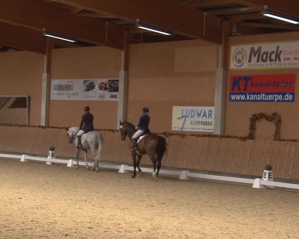 Reitturnier Grafenrheinfeld 2019