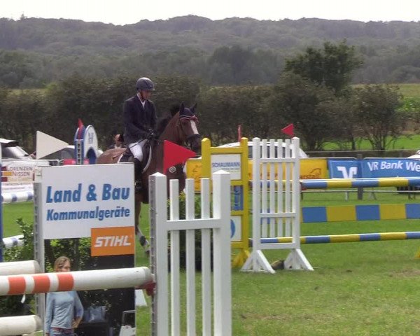 Reitturnier Behrendorf 2019