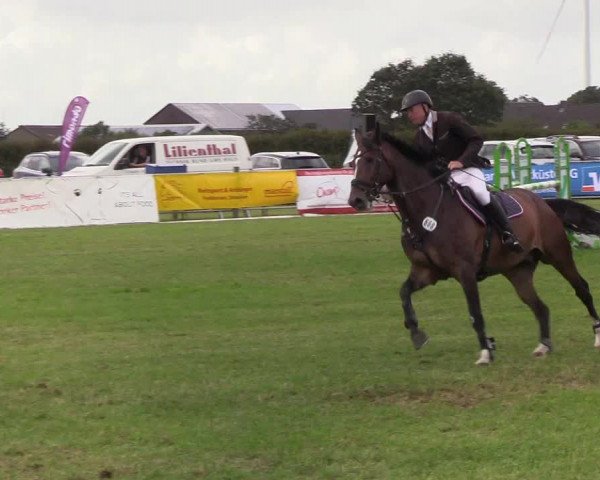 Reitturnier Behrendorf 2019