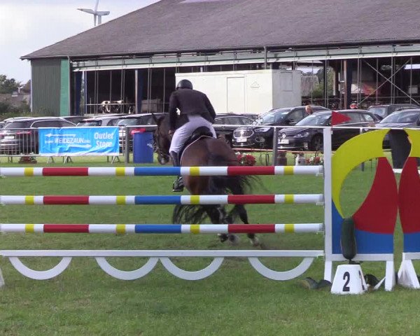 Reitturnier Behrendorf 2019