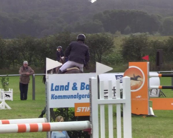 Reitturnier Behrendorf 2019