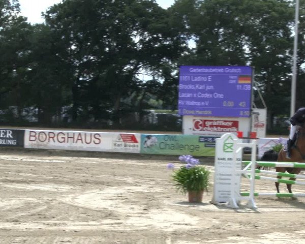 Reitturnier Waltrop 2019