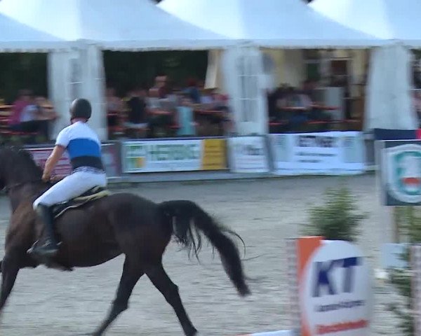 Reitturnier Grafenrheinfeld 2019