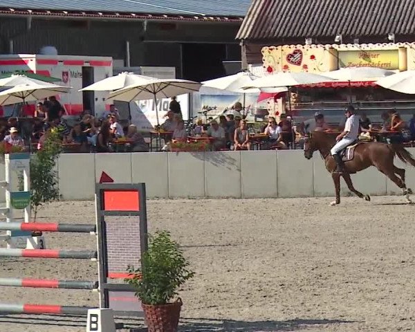 Reitturnier Grafenrheinfeld 2019