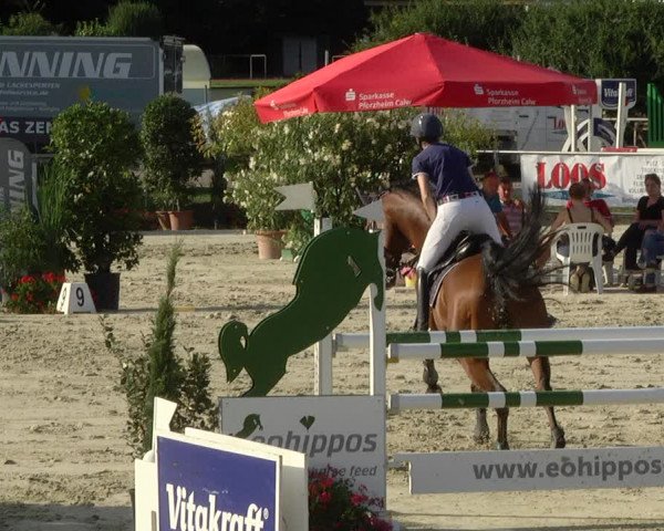 Reitturnier Oberderdingen 2019