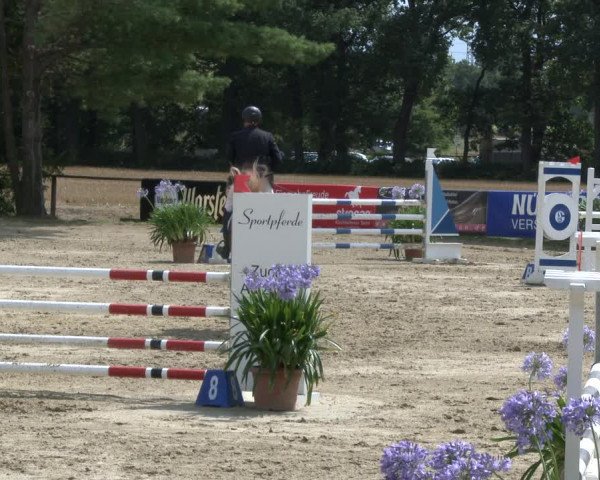 Reitturnier Waltrop 2019