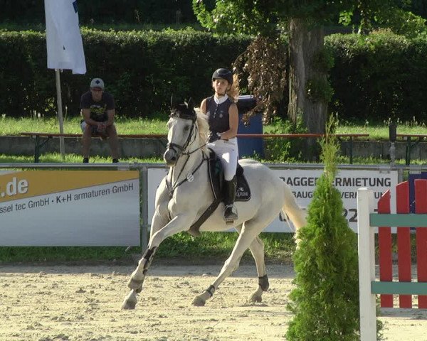Reitturnier Oberderdingen 2019