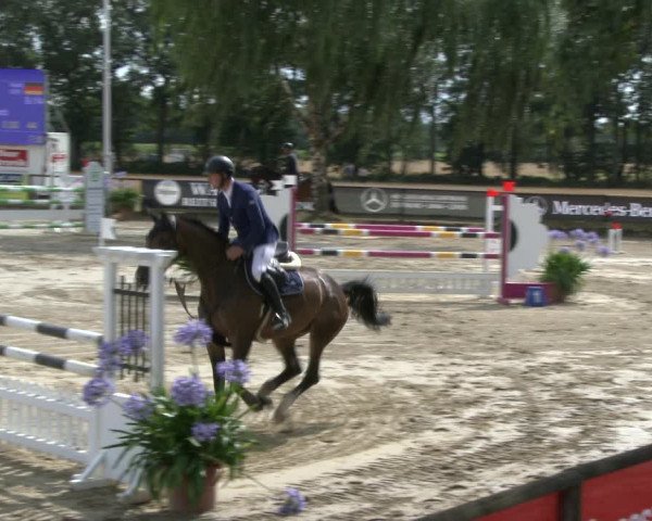 Reitturnier Waltrop 2019