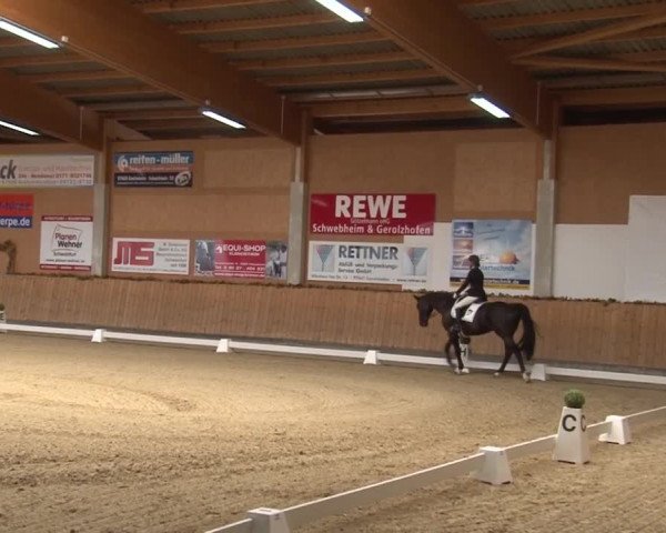 Reitturnier Grafenrheinfeld 2019