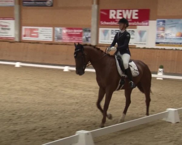 Reitturnier Grafenrheinfeld 2019