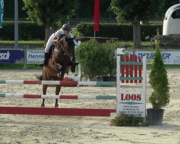 Reitturnier Oberderdingen 2019