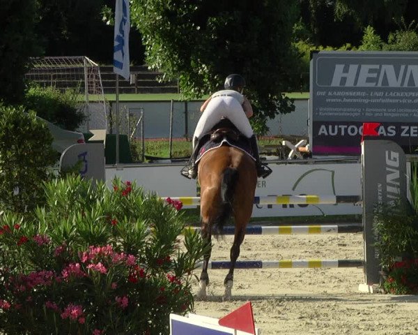 Reitturnier Oberderdingen 2019