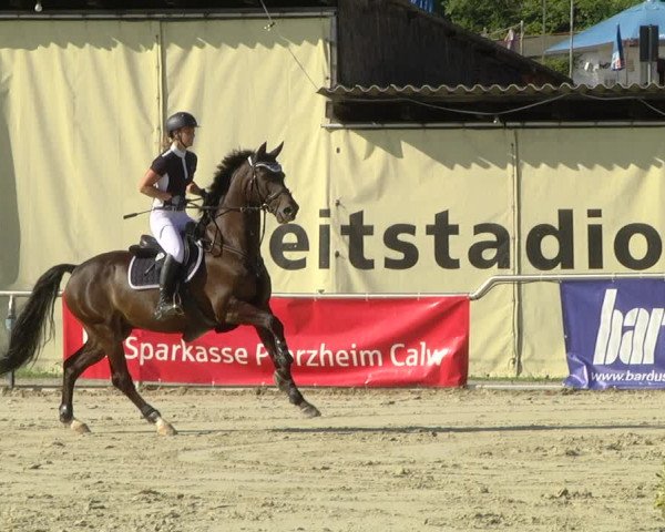 Reitturnier Oberderdingen 2019