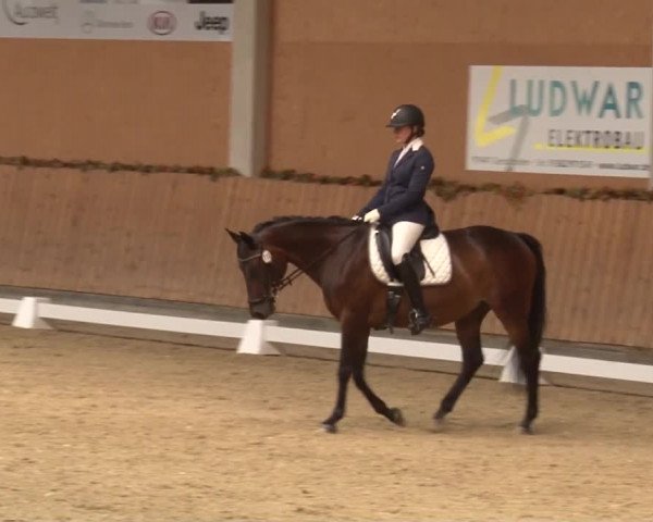 Reitturnier Grafenrheinfeld 2019